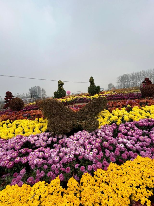 天邊花海