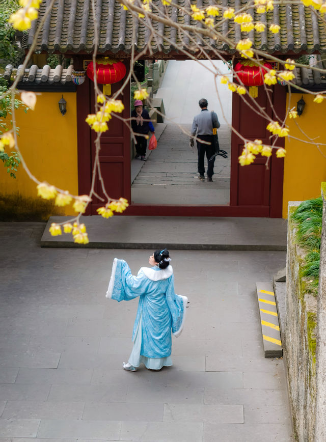 新昌大佛寺開啟新年第一站