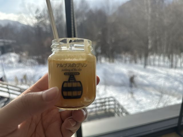 日本中部升龍道踏雪之旅