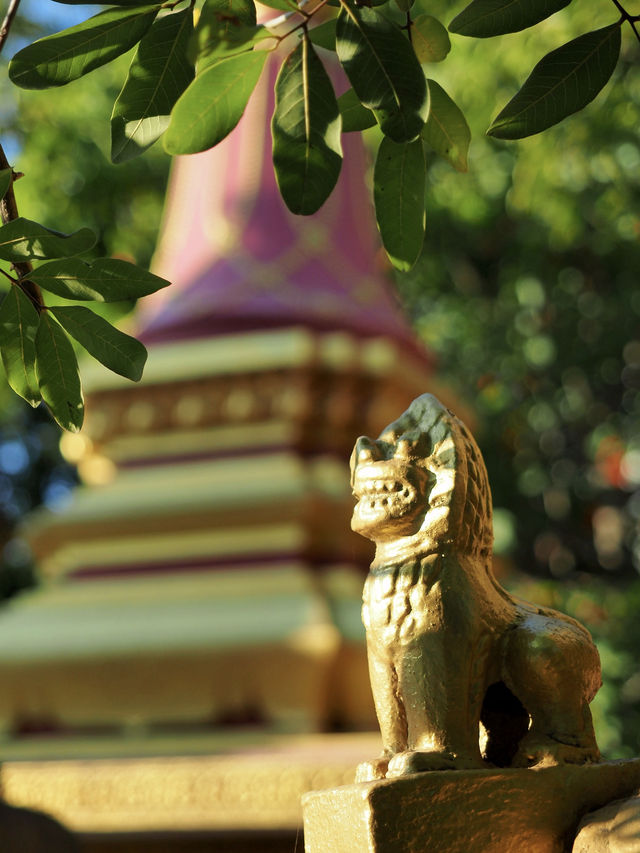 除了吳哥窟，暹粒市區這幾座免費寺廟，也很好逛！