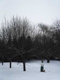 哈爾濱的伏爾加莊園下雪太美了