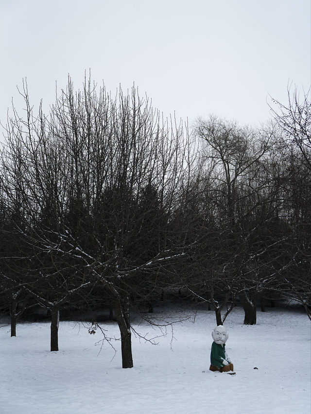 哈爾濱的伏爾加莊園下雪太美了