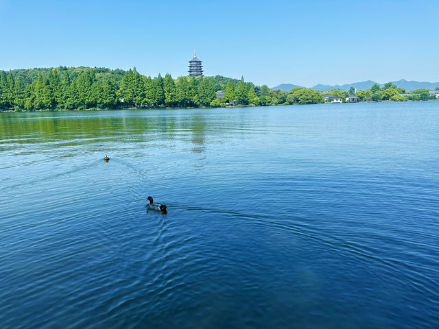 【杭州西湖】唔使人迫人，帶老媽同細路住入西湖裏面