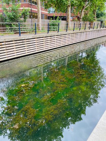 英國梅登黑德超全遊玩攻略