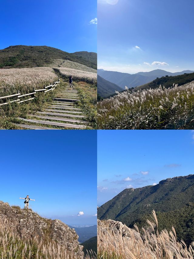 探秘蔚山，解鎖韓國小眾寶藏旅行地