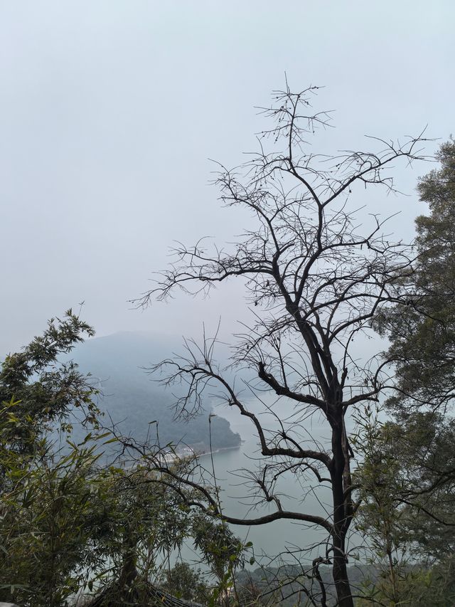春來尋夢石竹山