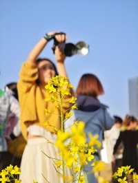 解鎖深圳春日！光明欢乐田園油菜花暢玩秘籍