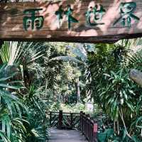 在忠侖公園賞花、閒談、散步、遛娃