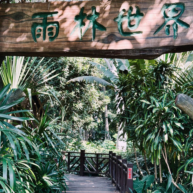 在忠侖公園賞花、閒談、散步、遛娃