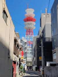 福岡市區必遊：一日深度探索行程