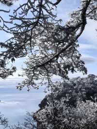 7日探秘江西南昌-廬山-婺源 邂逅國家地理級山水風光