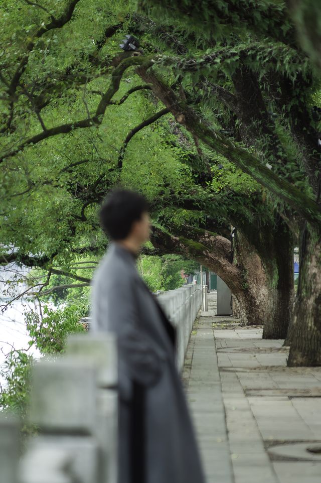 在回桂林，拍到了迄今為止我最喜歡的一條路
