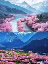 林芝受罪已回，要去的姊妹慎重。