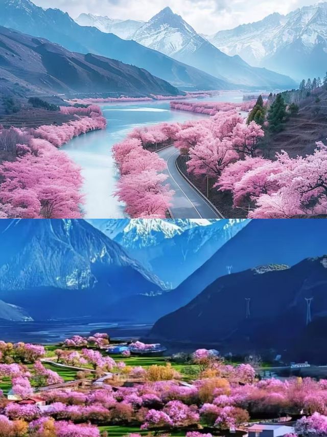 林芝受罪已回，要去的姊妹慎重。