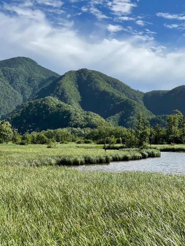 小長假玩轉神農架等地 5日深度遊攻略來啦