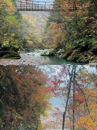 德島：小眾日本的隱世瑰寶