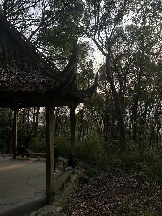 杭城頂流徒步路線！玉皇山鳳凰山一次刷完