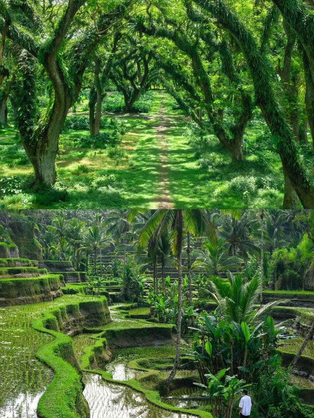 來印尼千萬不要錯過這個風景。