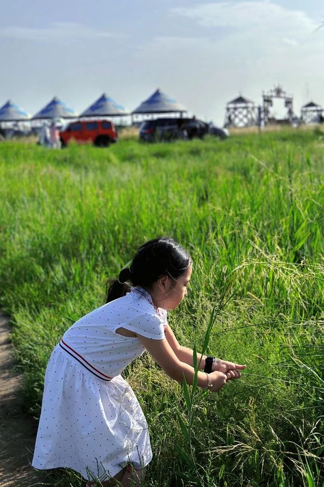 呼和浩特市敕勒川草原選擇指南