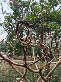 南京,一座沉澱著歷史的現代化都市