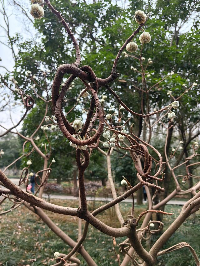 南京,一座沉澱著歷史的現代化都市 南京,一座沉澱著歷史的現代化都市