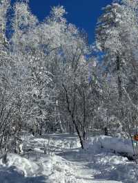 鏡泊湖 - 中國雪鄉 2 日遊 超詳細攻略助你玩轉冰雪世界