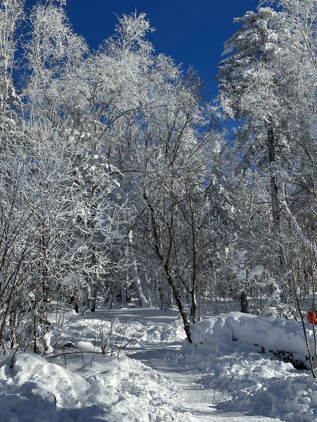 鏡泊湖 - 中國雪鄉 2 日遊 超詳細攻略助你玩轉冰雪世界