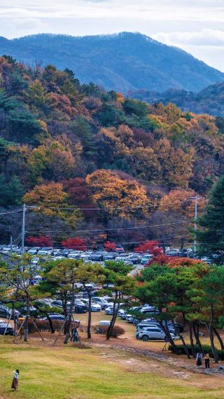 3-4 Month Must-Visit Cheongju, South Korea: A Foolproof Guide