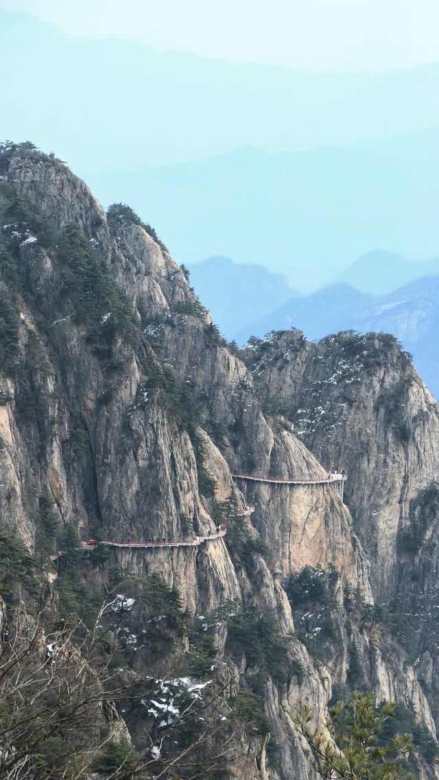 遠赴人間驚鴻宴，一睹老君盛世顏