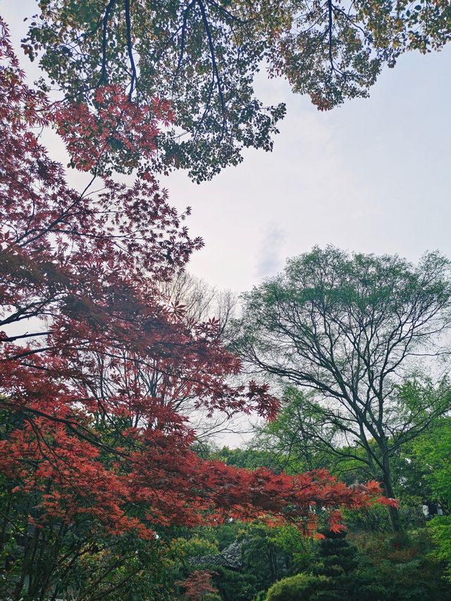 不用飛北歐，誤闖進莫奈的花園！