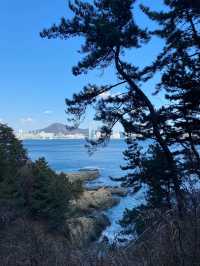 韓國釜山5日遊 人均3k全攻略