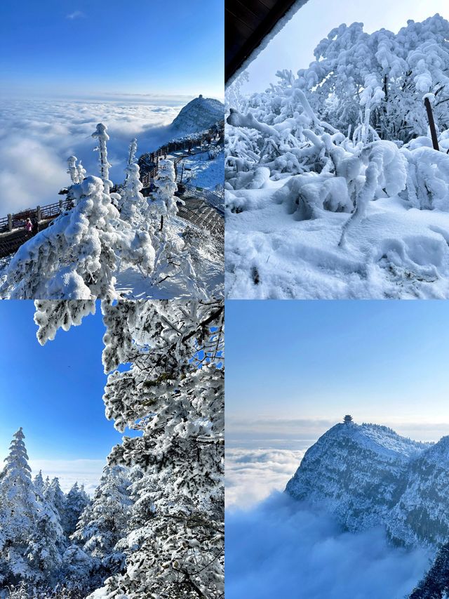登峨眉山｜最佳路線和建議（不走回頭路）
