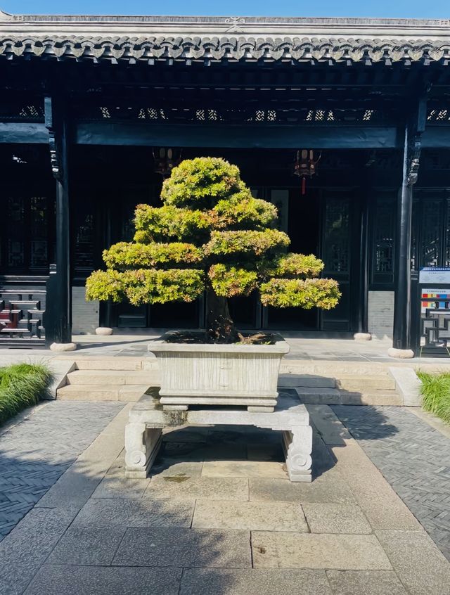 浙江，海鹽