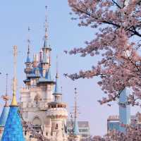 🌸首爾賞櫻寶地大公開❗️