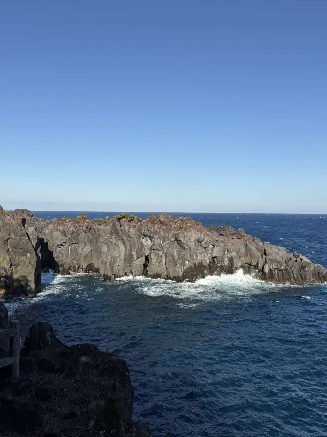 일본 2일 투어｜청명절 연휴, 일본 여행의 적기