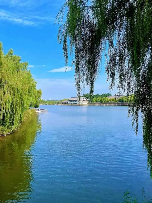 陝西西安•曲江遺址公園•春意盎然的曲江