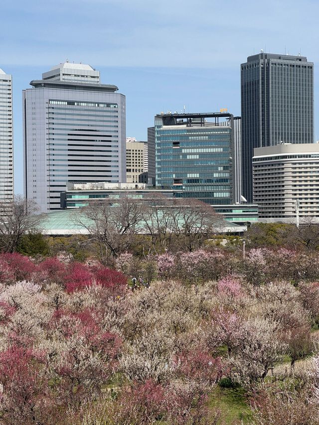 日本6日長者遊 悠閒不累超貼心