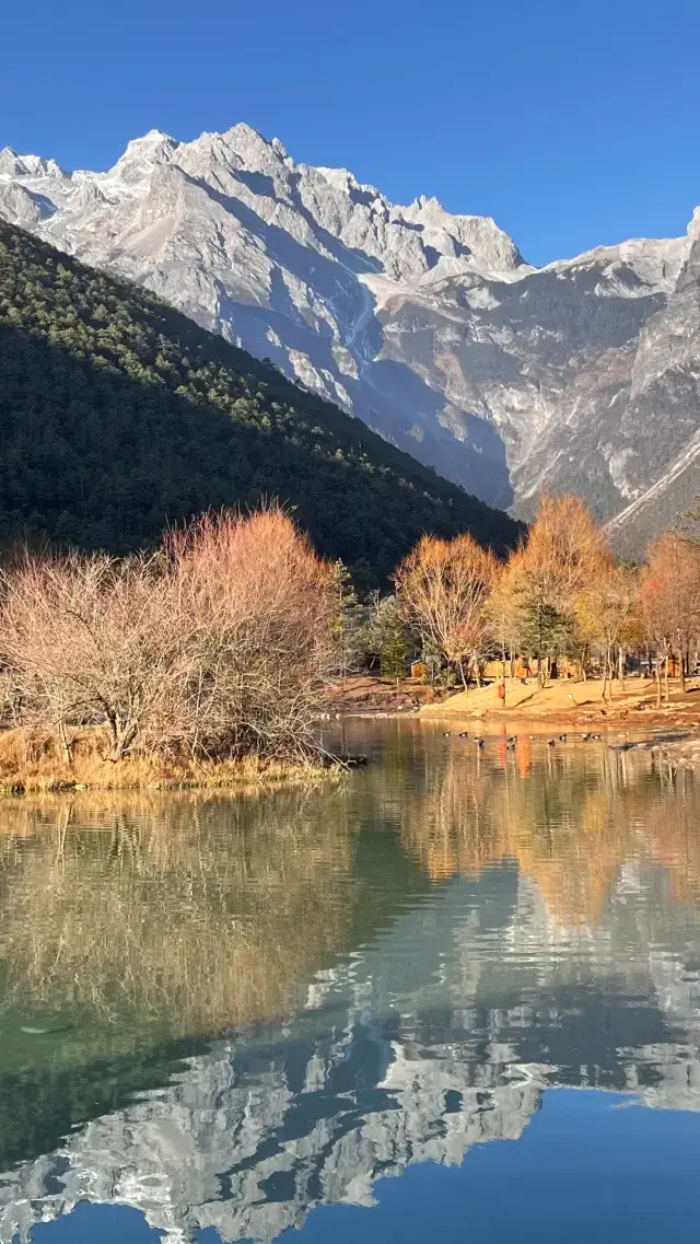 玉龍雪山一日遊超詳細旅遊攻略來啰