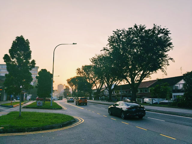 探索大阪的堺市大仙公園