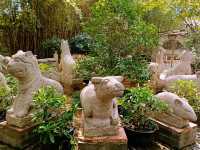 Tongshashengtai Park: Green and Fresh Meditation Land