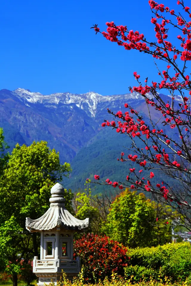 Dali: A Cycling Journey Through the Internet-Famous Fanxi Village