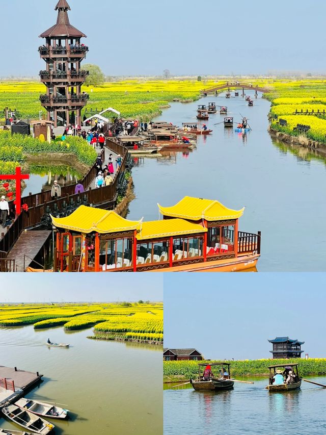 泰州｜被嚴重低估你4-5月份旅行寶藏地，附攻略！