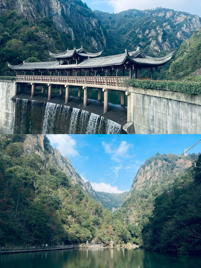 它會成為你的最佳選擇