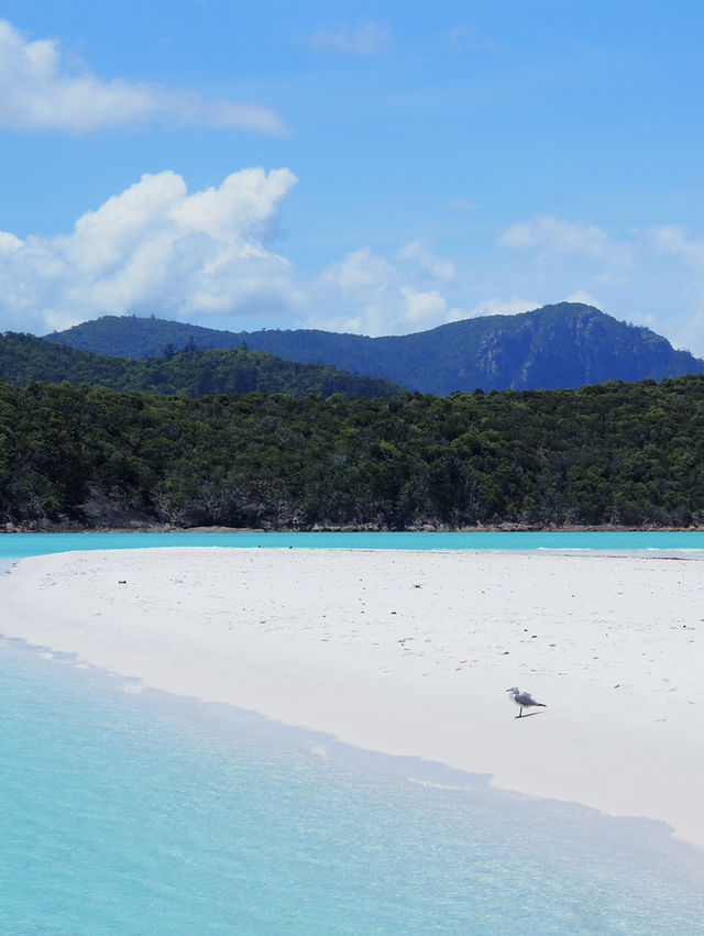 Australia Whitsunday
