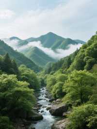 莫干山初遊指南｜新手必看避坑攻略