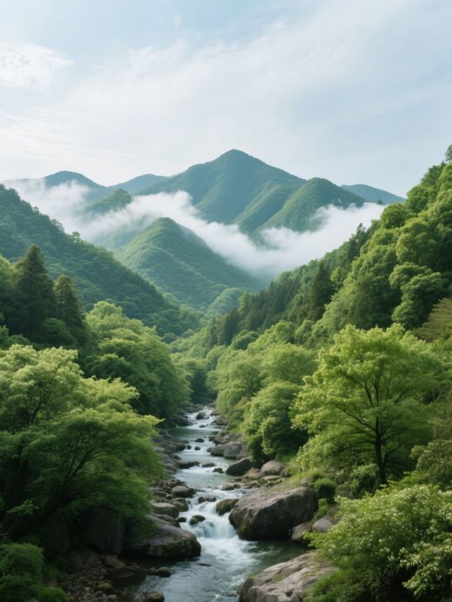 莫干山初遊指南｜新手必看避坑攻略