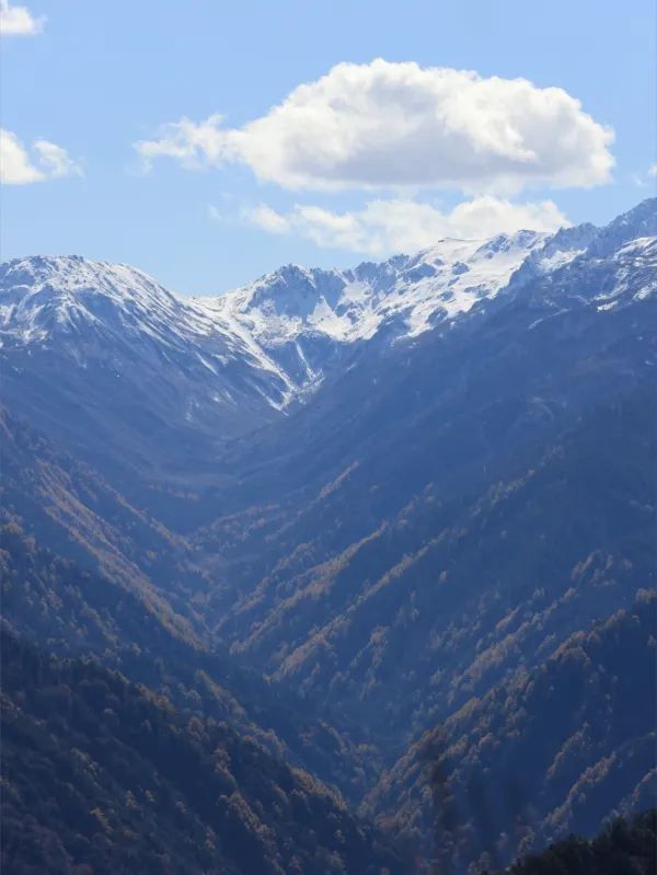 🇯🇵去過立山黑部，人生就沒有遺憾！附攻略
