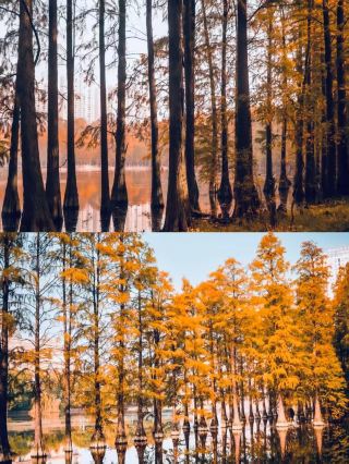 Three Days and Two Nights in Huanggang, Hubei Province