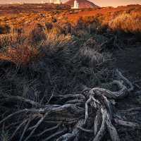 Canary Islands