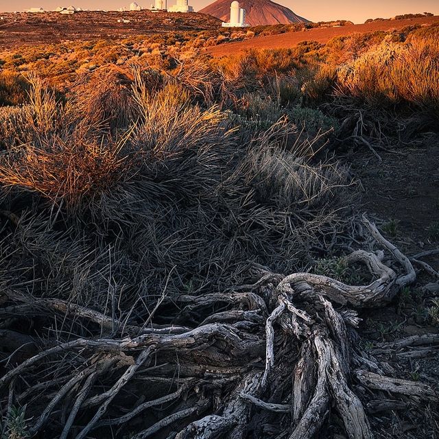 Canary Islands